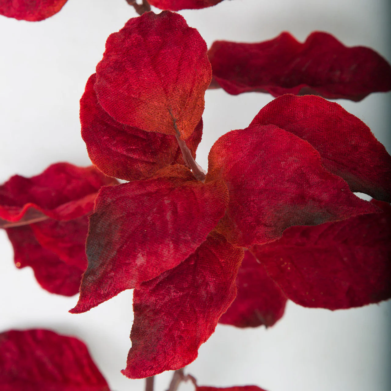 27" Artificial Velvet Snow Berry Leaf Stem -Red/Black (Pack of 12) - Image 2