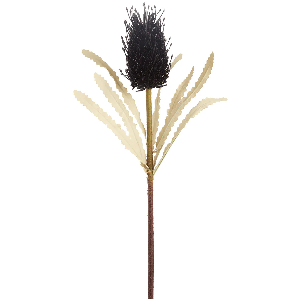 27" Banksia Protea Artificial Flower Stem -Black (Pack of 12)