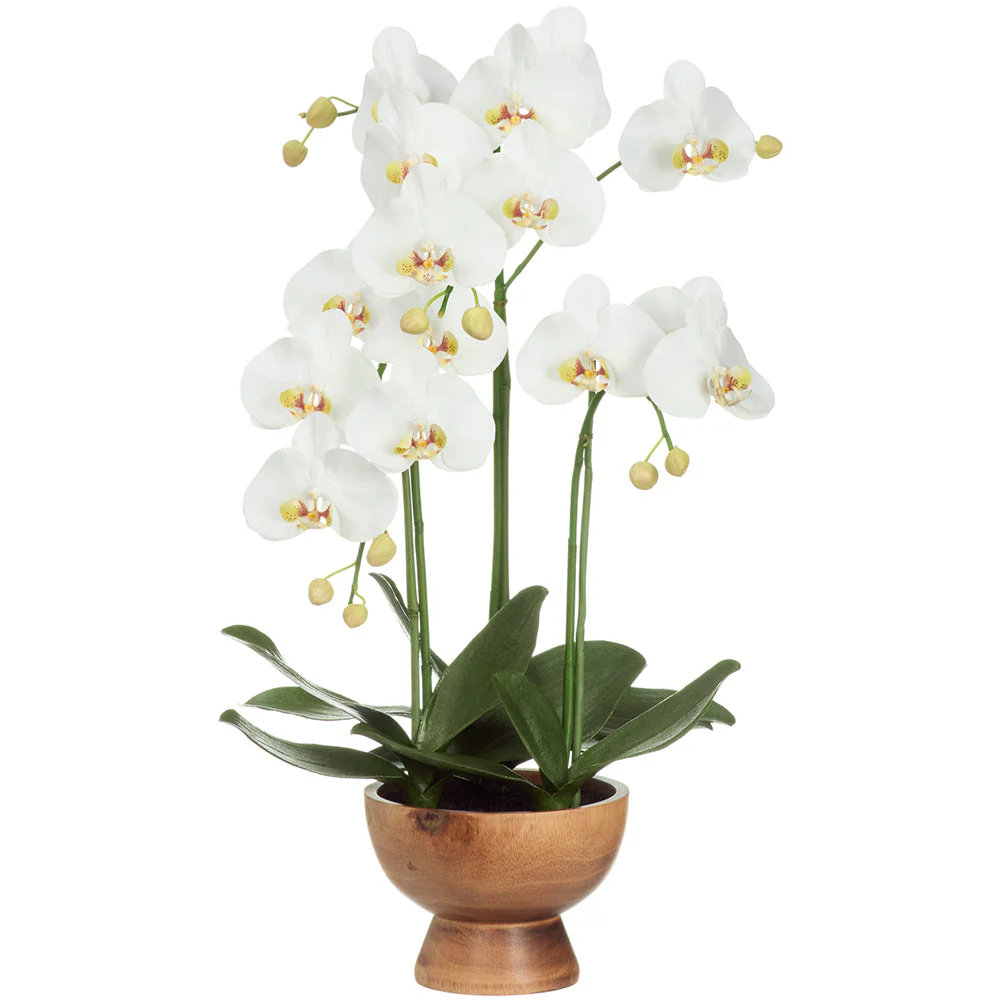 27" Hand-Wrapped Phalaenopsis Orchid Artificial Flower Arrangement w/Wood Planter -Cream/Green