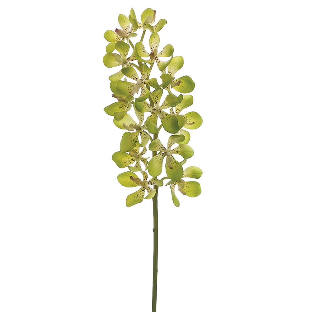 27" Hand-Wrapped Silk Mini Vanda Orchid Flower Spray -Green (Pack of 12)