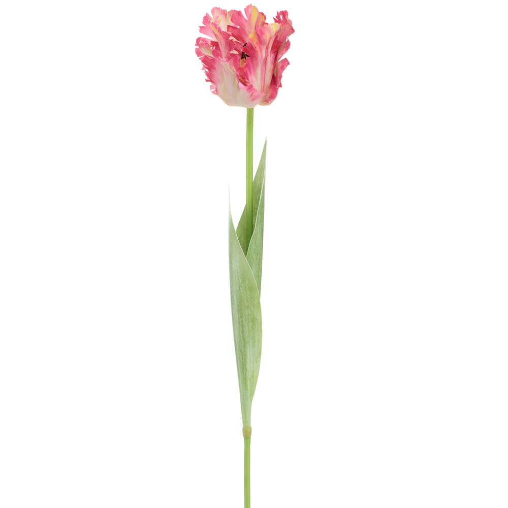 27" Parrot Tulip Silk Flower Stem -Beauty/Green (Pack of 12)