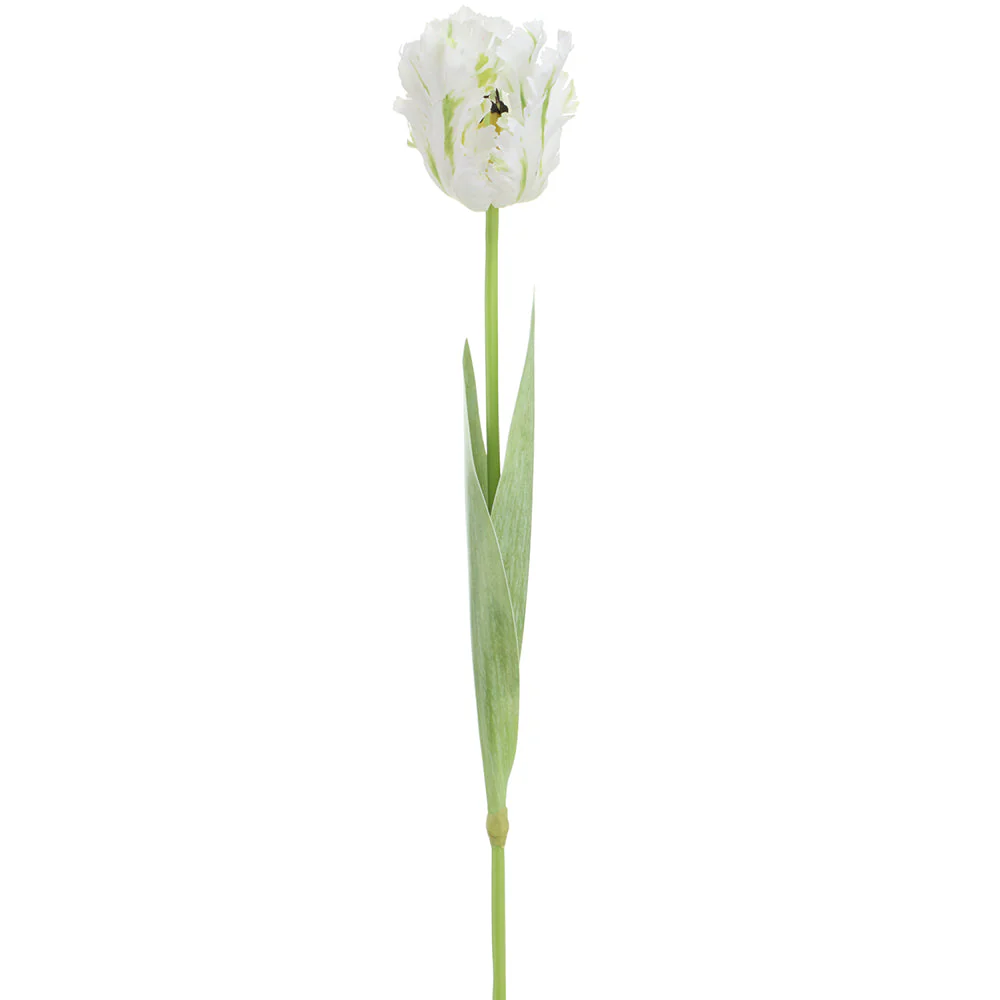 27" Parrot Tulip Silk Flower Stem -White/Green (Pack of 12)