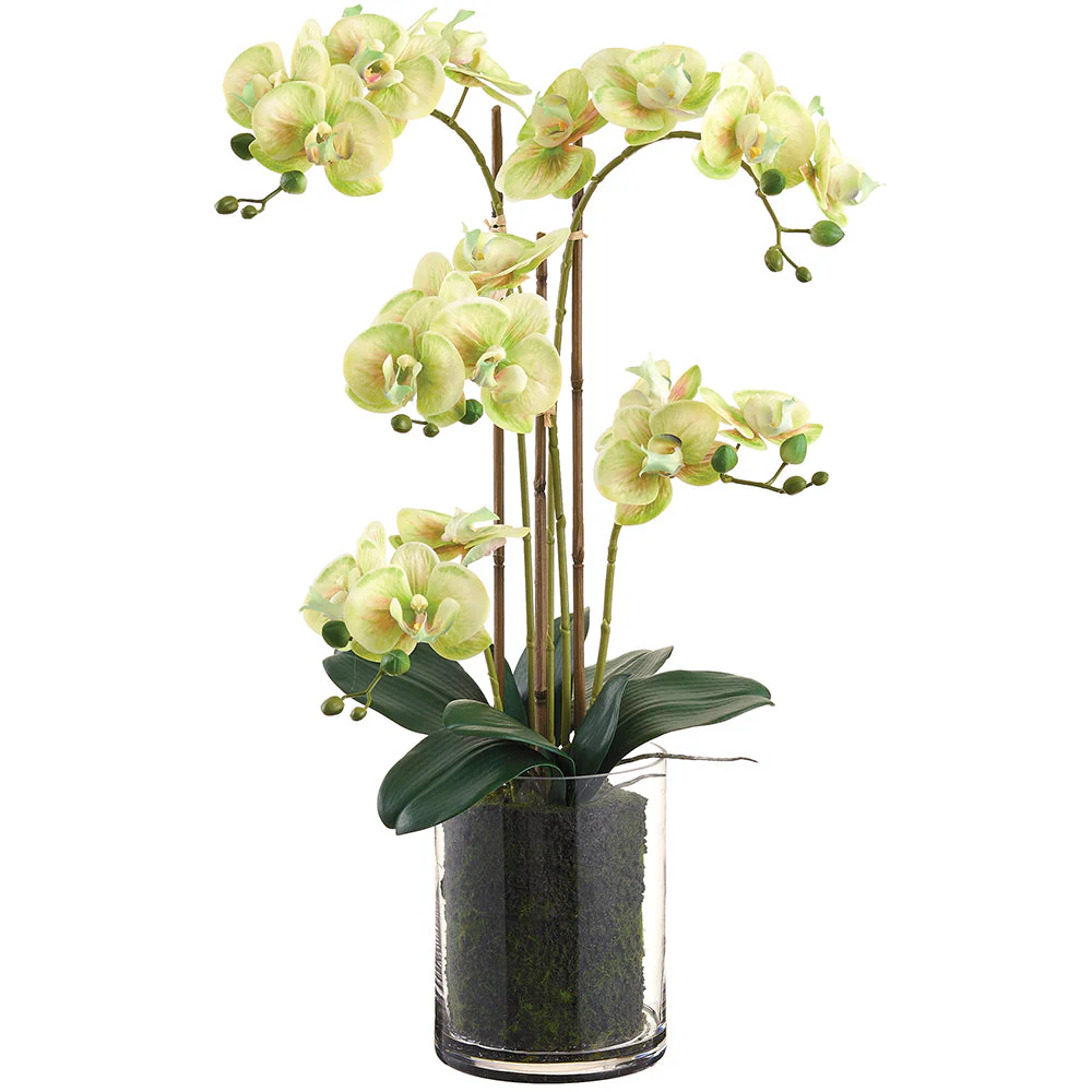 27" Phalaenopsis Orchid Silk Flower Arrangement w/Glass Vase -Green (Pack of 2)