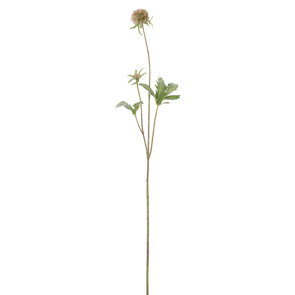 27" Scabiosa Silk Flower Stem -Tan/Green (Pack of 12)