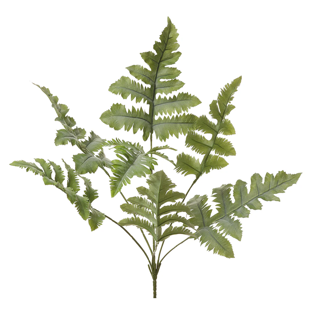 27" Silk Blue Star Fern Plant -Green (Pack of 12)