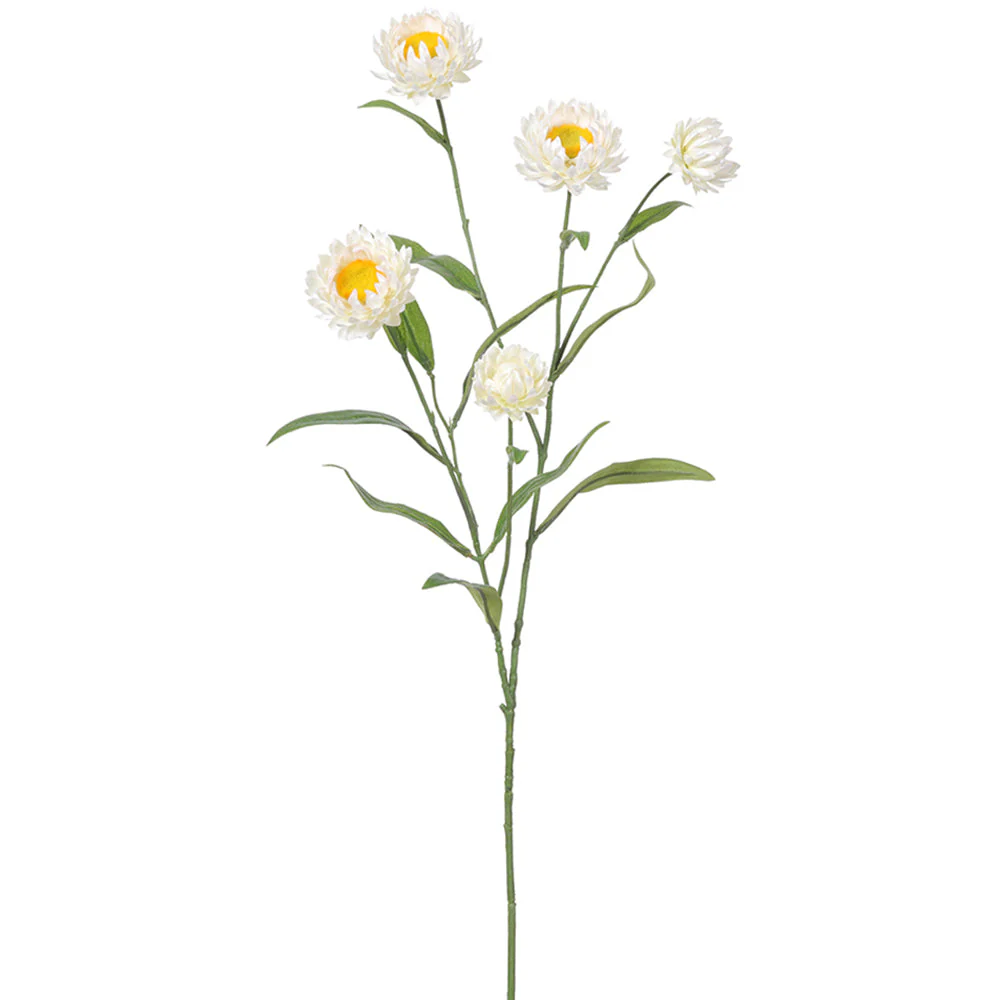 27" Strawflower Silk Flower Stem -White (Pack of 12)