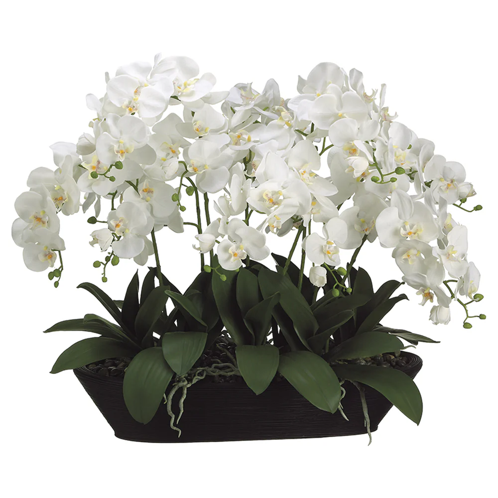 27"Hx30"W Phalaenopsis Orchid Silk Flower Arrangement -Cream