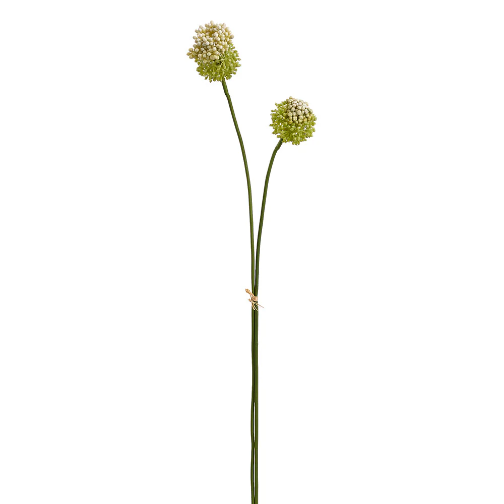 28.5" Allium Silk Flower Stem Bundle -Green/Cream (Pack of 12)