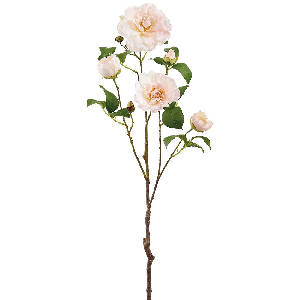 28.5" Camellia Silk Flower Stem -Soft Peach (Pack of 12)