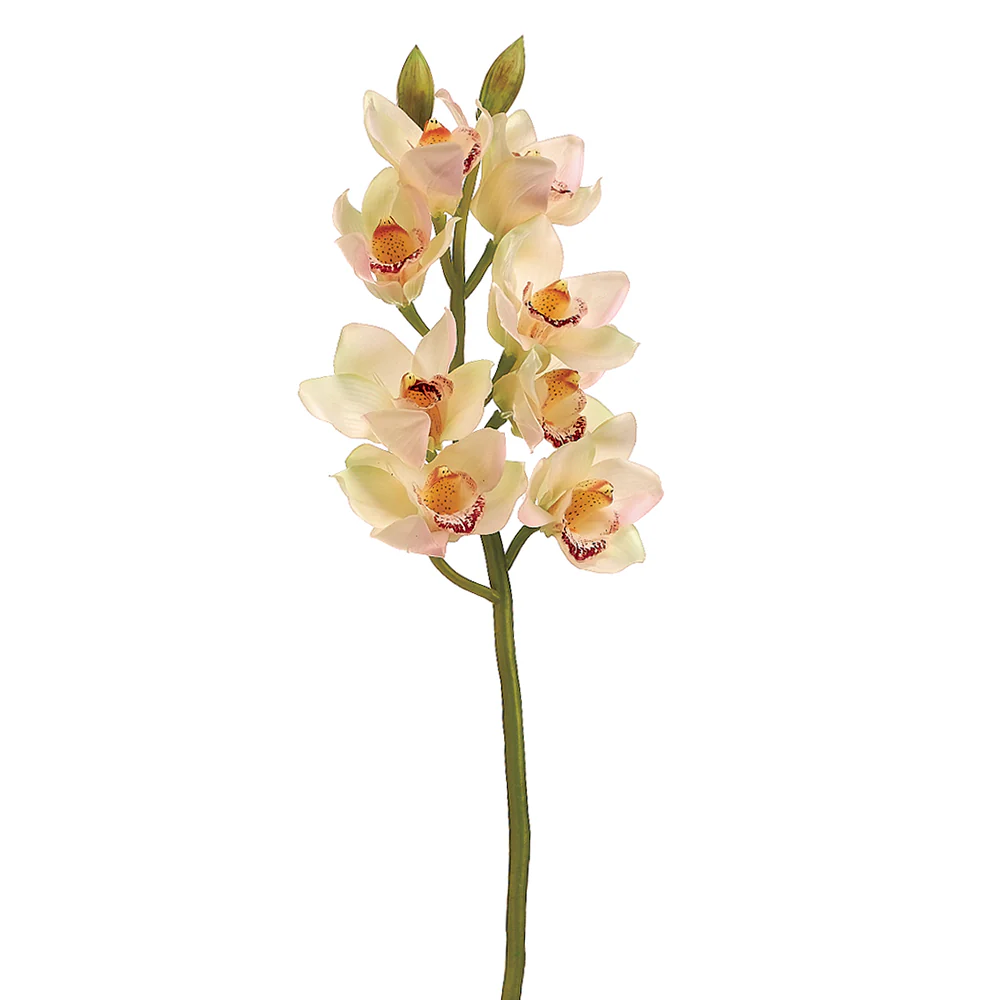 28.5" Hand-Wrapped Silk Cymbidium Orchid Flower Spray -Cream/Burgundy (Pack of 6)