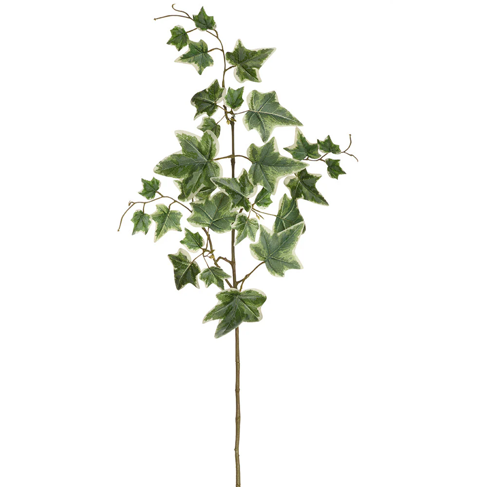 28.5" Ivy Leaf Silk Stem -Green/Cream (Pack of 12)