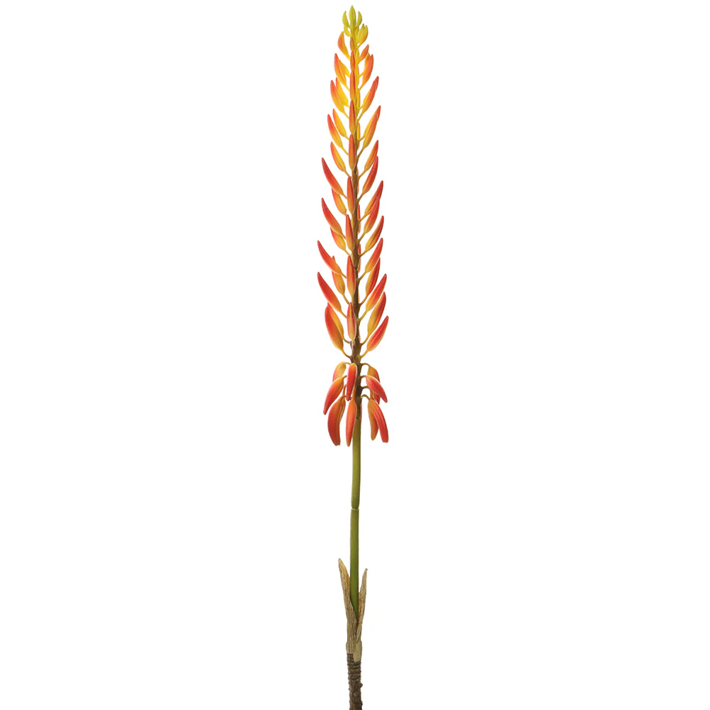 28" Artificial Agave Flower Stem -2 Tone Orange (Pack of 12)