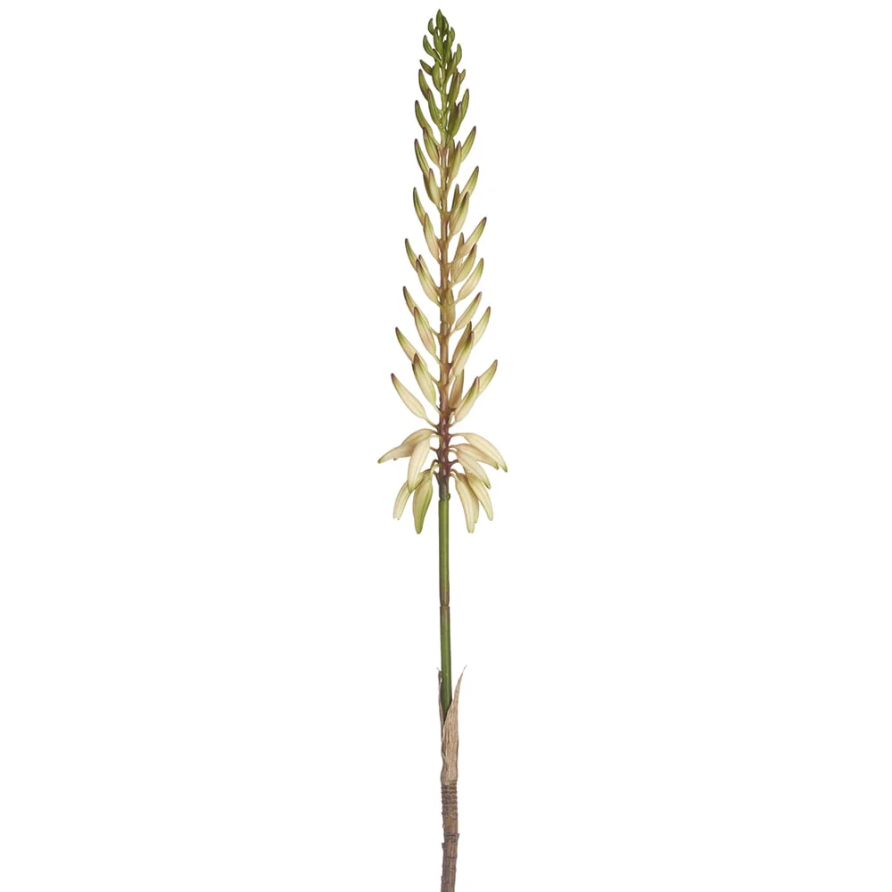 28" Artificial Agave Flower Stem -White/Green (Pack of 12)