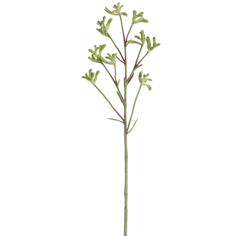 28" Artificial Kangaroo Paw Flower Stem -Green (Pack of 12)