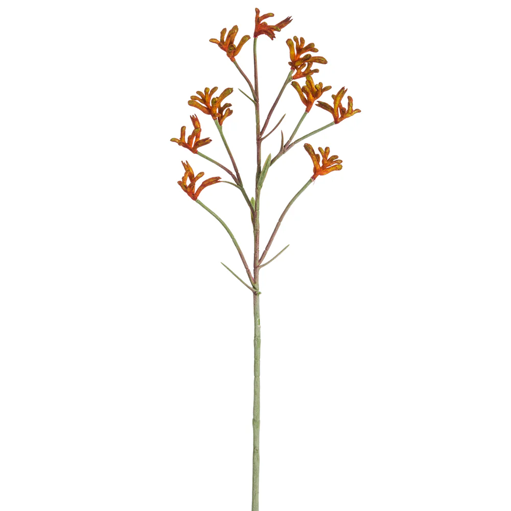 28" Artificial Kangaroo Paw Flower Stem -Orange/Rust (Pack of 12)