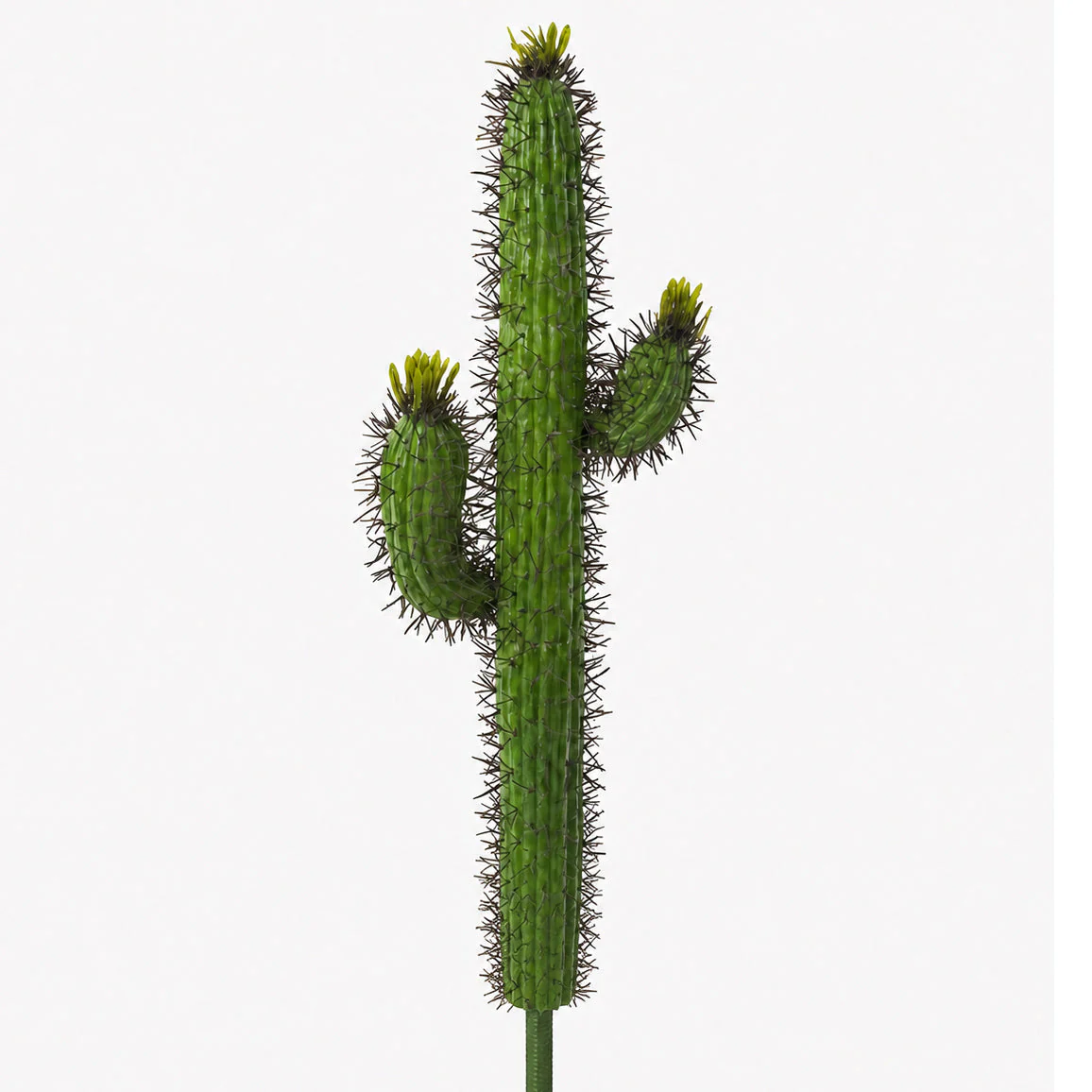 28" Artificial Saguaro Column Cactus Plant -Green (Pack of 3)