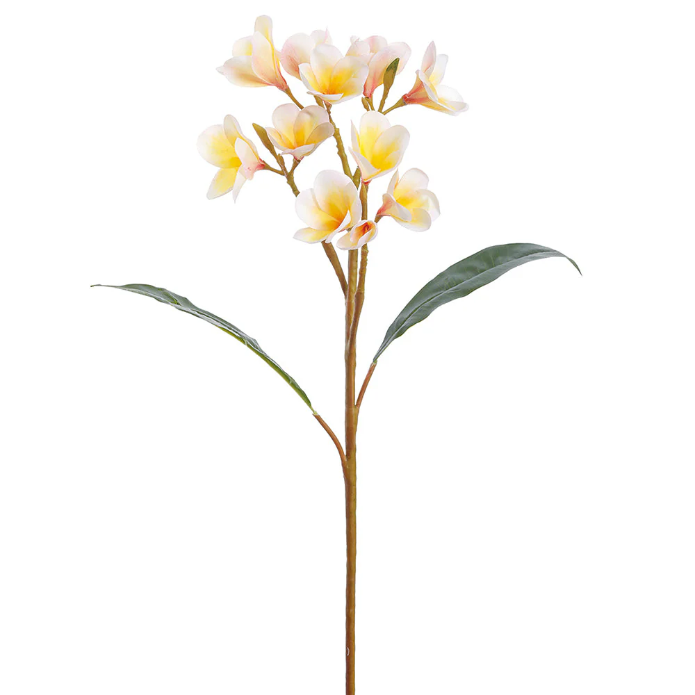 28" Frangipani Plumeria Silk Flower Stem -Cream (Pack of 12)