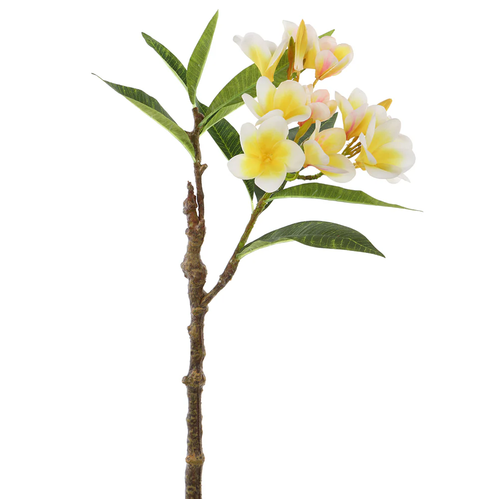 28" Frangipani Plumeria Silk Flower Stem -Cream/Yellow (Pack of 12)