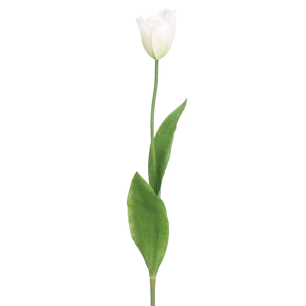 28" Hand-Wrapped Dutch Tulip Silk Flower Stem -Cream (Pack of 24) (Open Box)