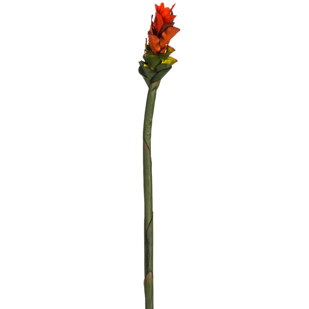 28" Hand-Wrapped Ginger Silk Flower Stem -Red (Pack of 12)