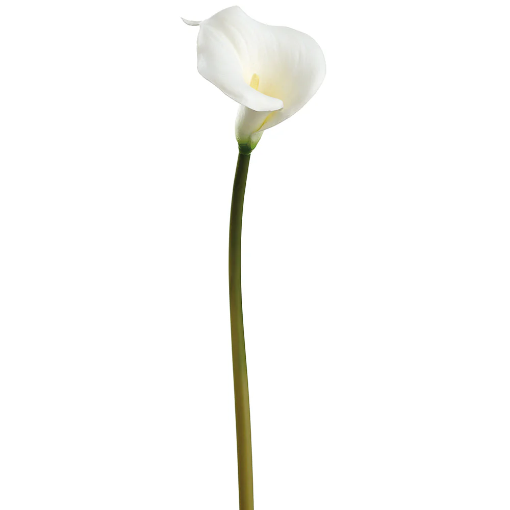 28" Medium Calla Lily Silk Flower Stem -White (Pack of 12)