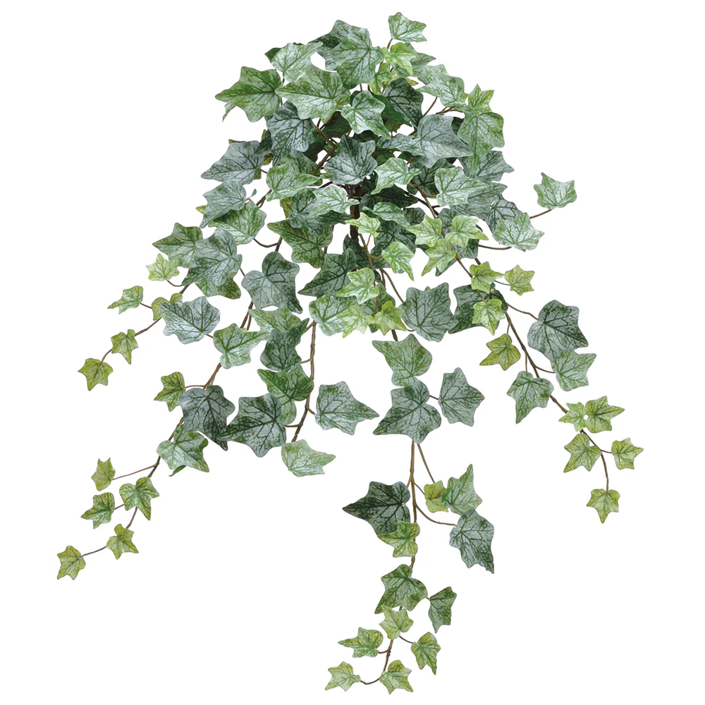 28" One-Piece Construction Ivy Silk Hanging Plant -144 Leaves -Green/Frosted (Pack of 6)