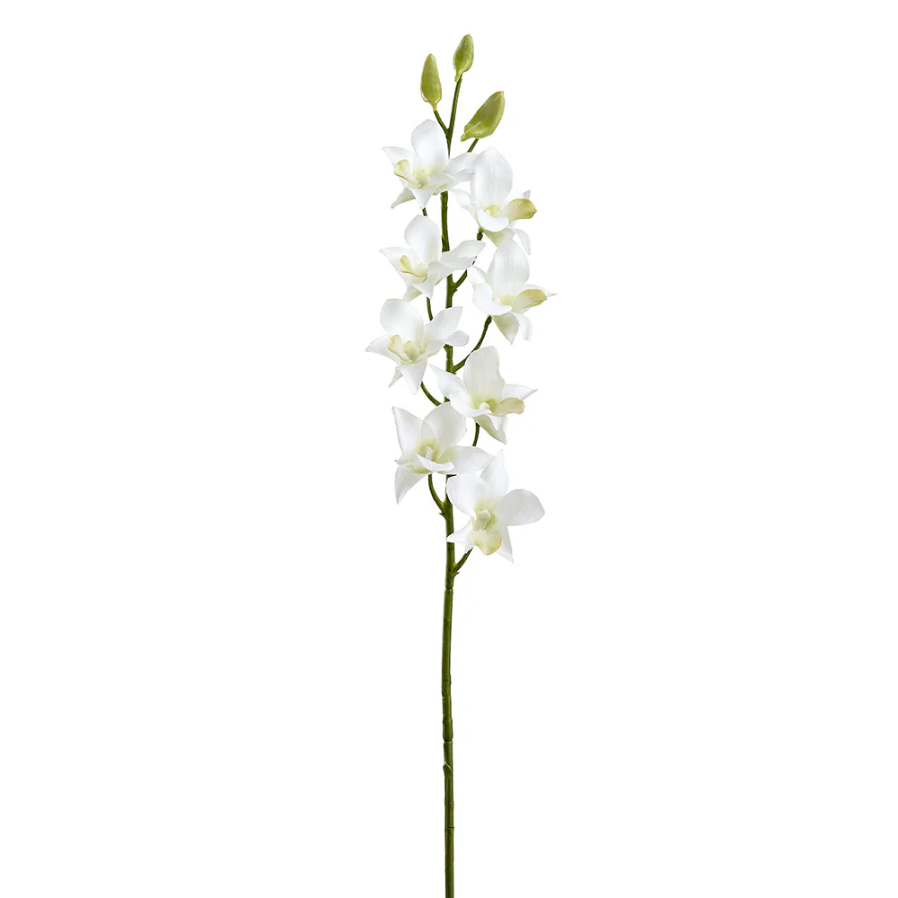 28" Real Touch Dendrobium Orchid Silk Flower Stem -Cream (Pack of 12)