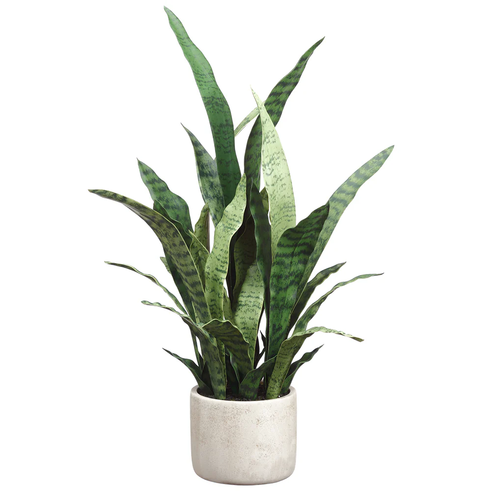 28" Sansevieria Snake Artificial Plant w/Pot -2 Tone Green (Pack of 2)