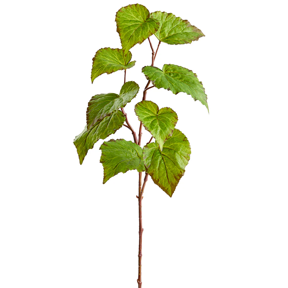 28" Silk Begonia Leaf Stem -Green (Pack of 12)