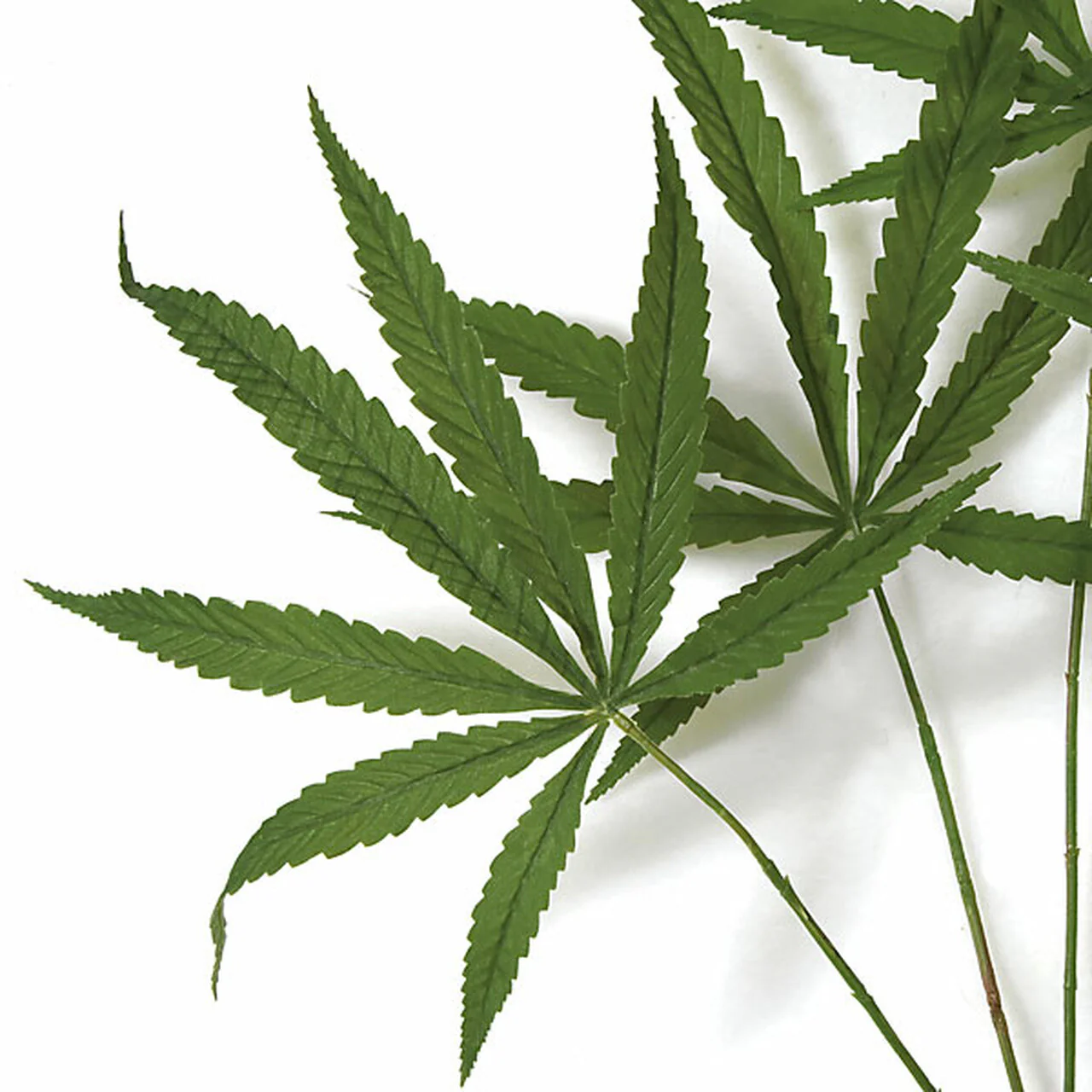 28" Silk Marijuana Leaf Stem -Green (Pack of 12) - Image 2