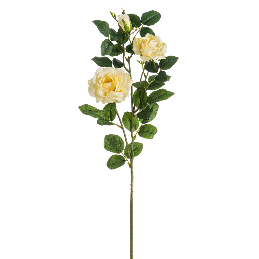 28" Silk Rose Flower Stem -Cream (Pack of 12)