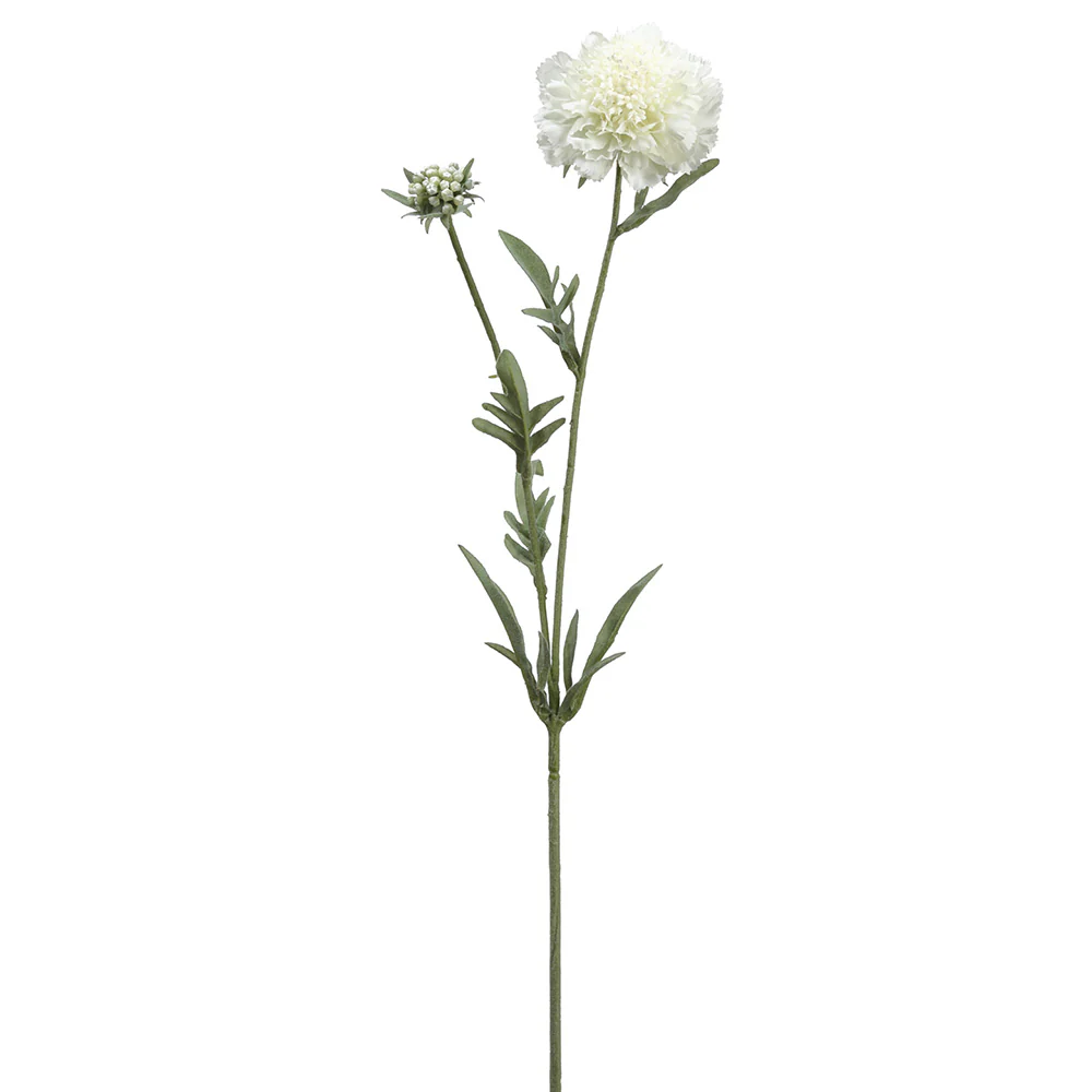 28" Silk Scabiosa Flower Stem -Cream (Pack of 12)