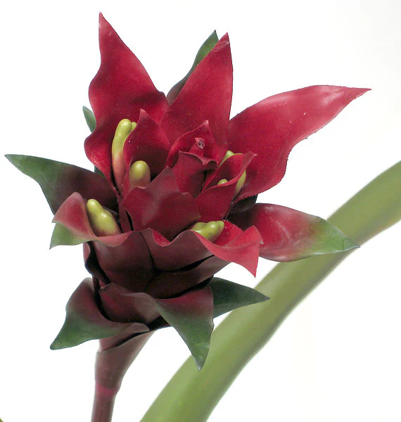 28" Soft-Touch Artificial Bromeliad Plant Flower Bush -Red (Pack of 4) - Image 2