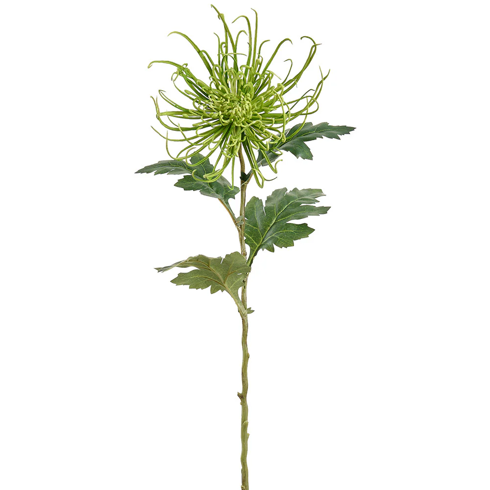 28" Spider Mum Silk Flower Stem -Light Green (Pack of 12)