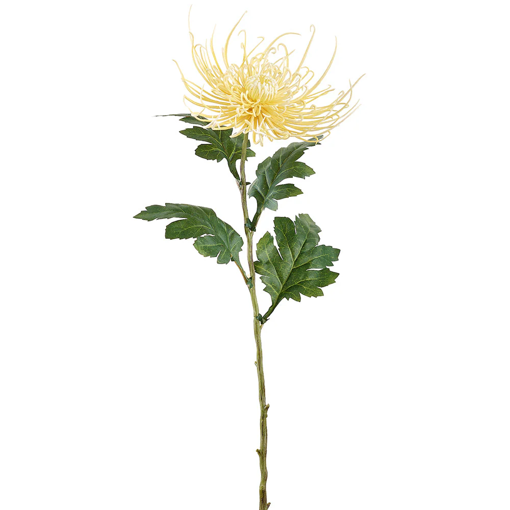28" Spider Mum Silk Flower Stem -Soft Yellow (Pack of 12)