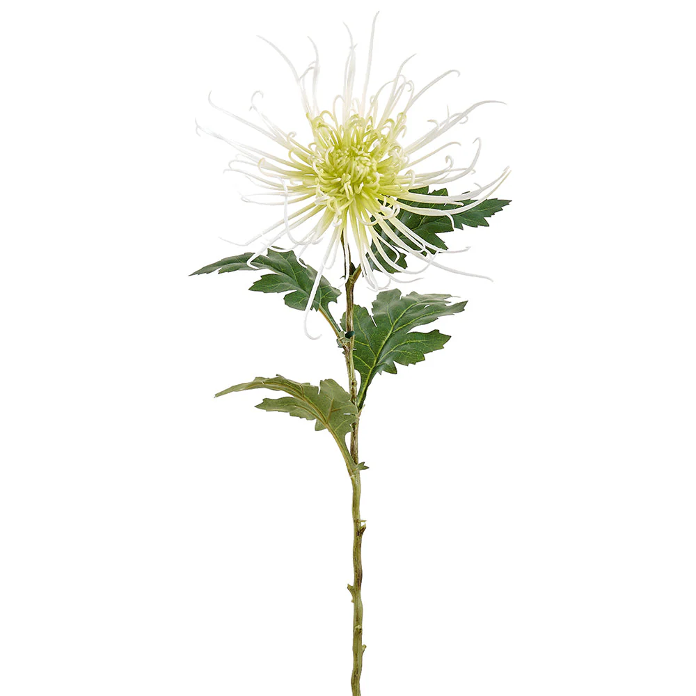 28" Spider Mum Silk Flower Stem -White/Green (Pack of 12)