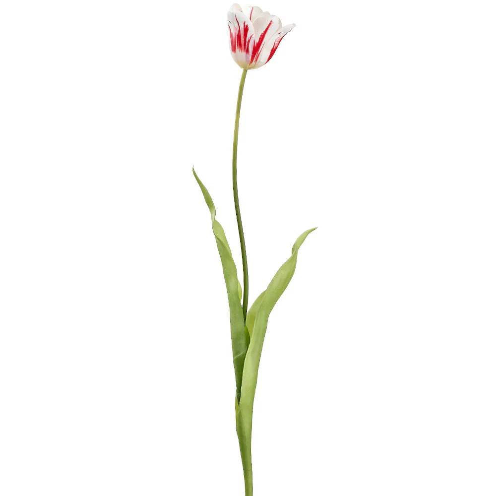 28" Tulip Silk Flower Stem -White/Red (Pack of 12)