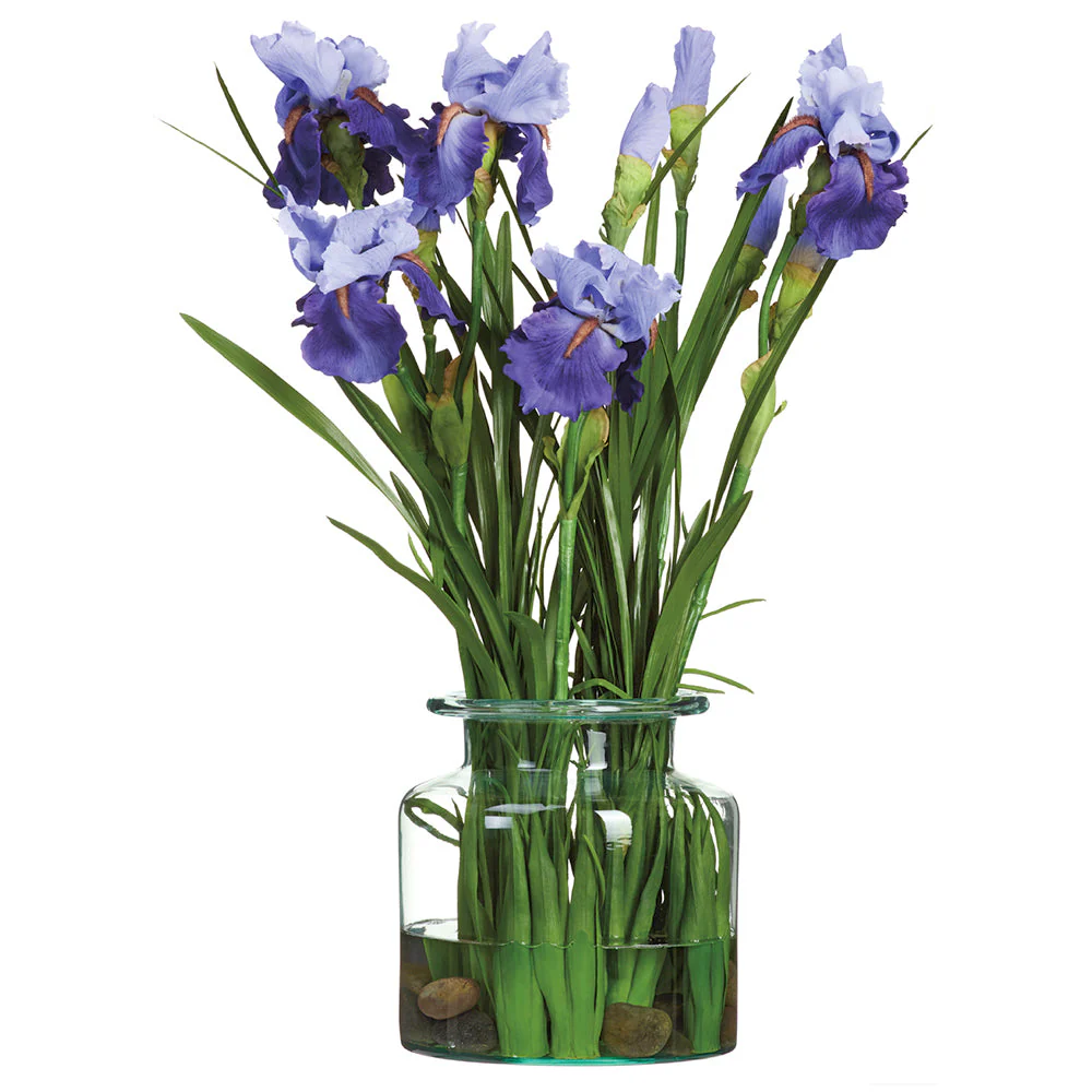 28"Hx16"W Bearded Iris & Grass Silk Flower Arrangement w/Glass Vase -Purple/Blue