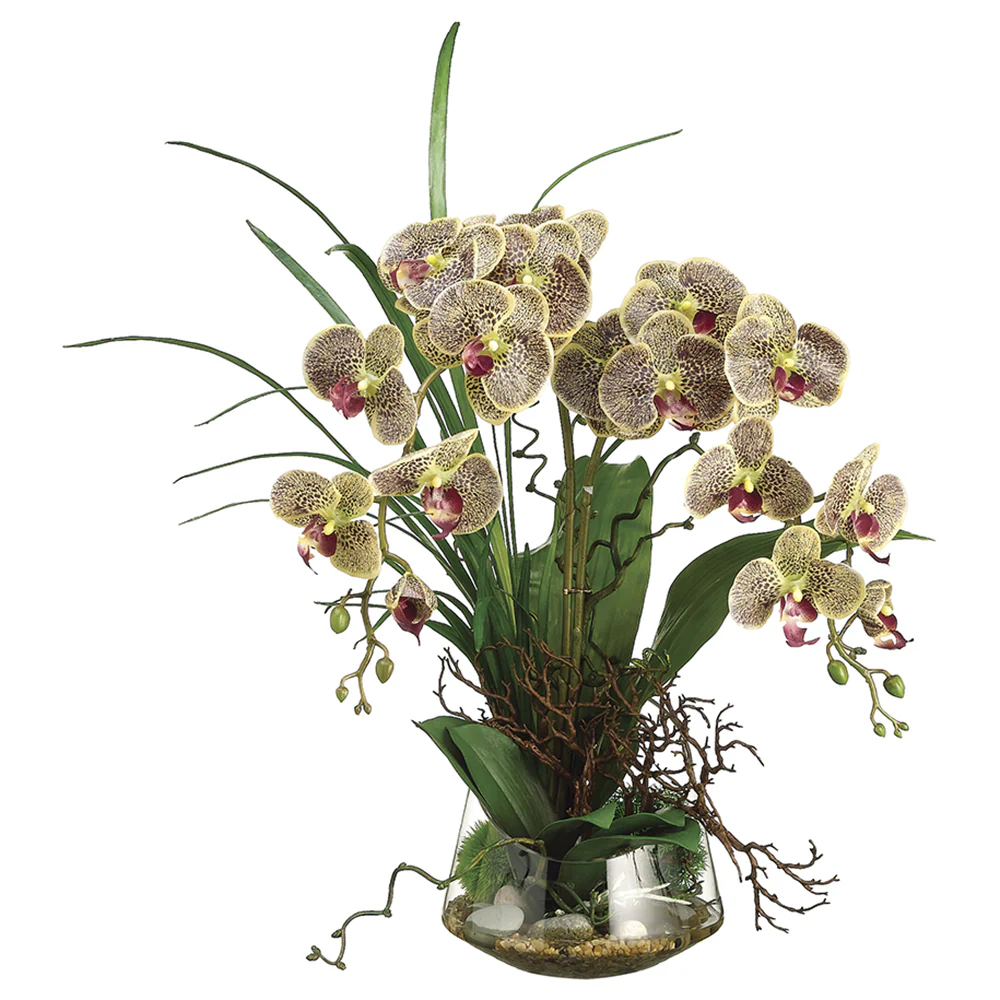 28"Hx20"W Phalaenopsis Orchid & Twig Silk Flower Arrangement -Burgundy/Green