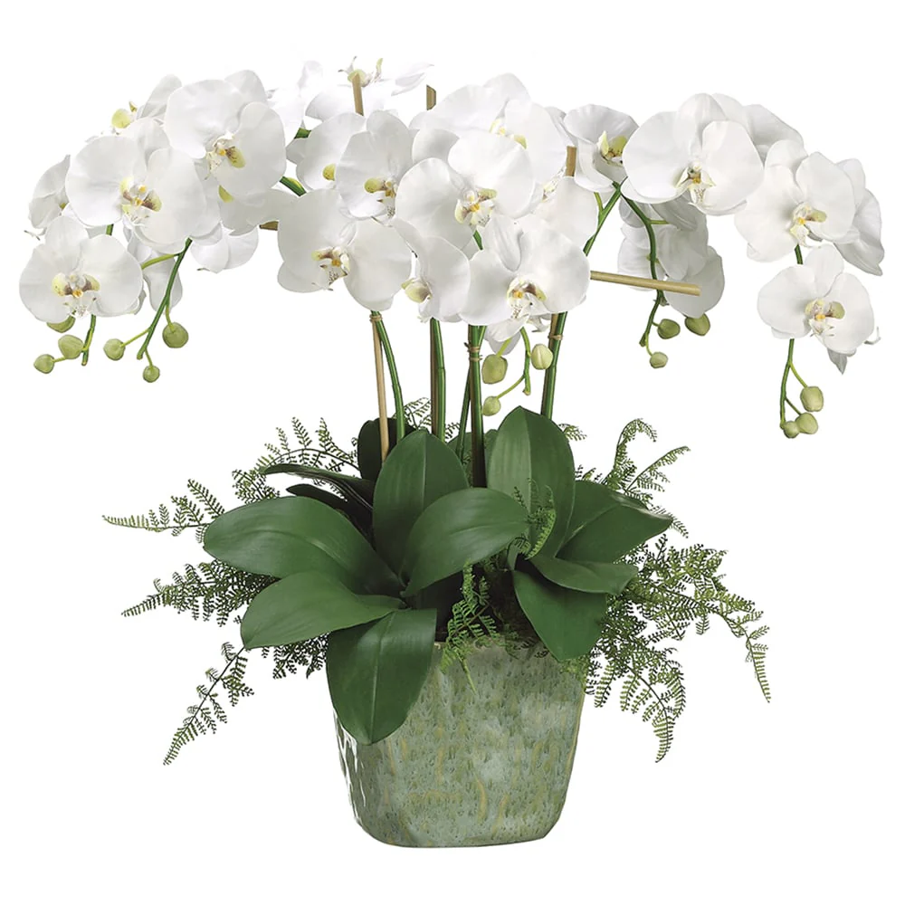 28"Hx25"W Phalaenopsis Orchid & Lace Fern Silk Flower Arrangement -White/Green