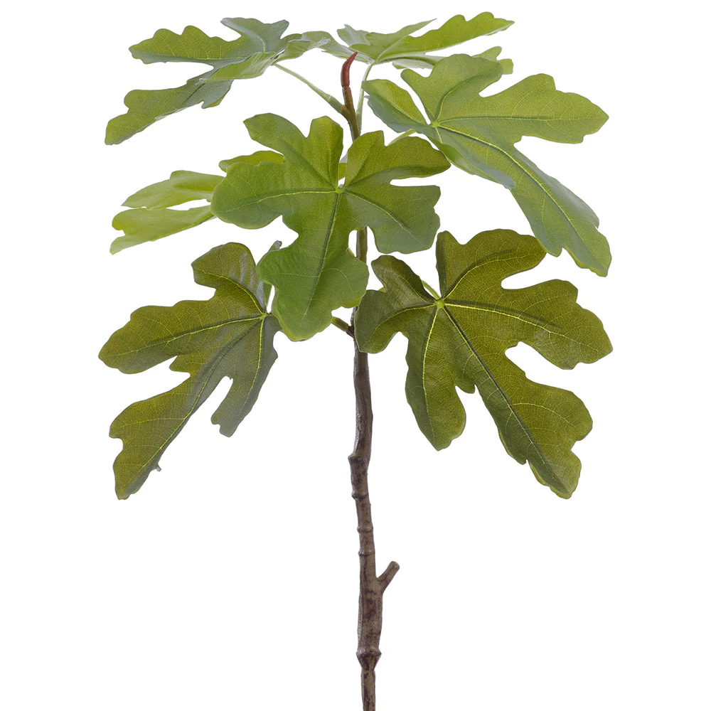 29.5" Fig Leaf Silk Branch Stem -Green (Pack of 12)