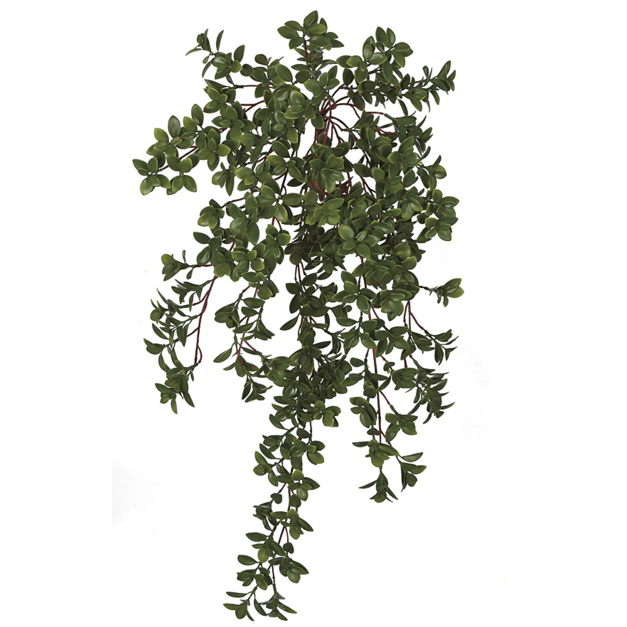 29.5" Outdoor UV-Resistant Artificial Hanging Nematanthus Leaf Plant -Green (Pack of 6)