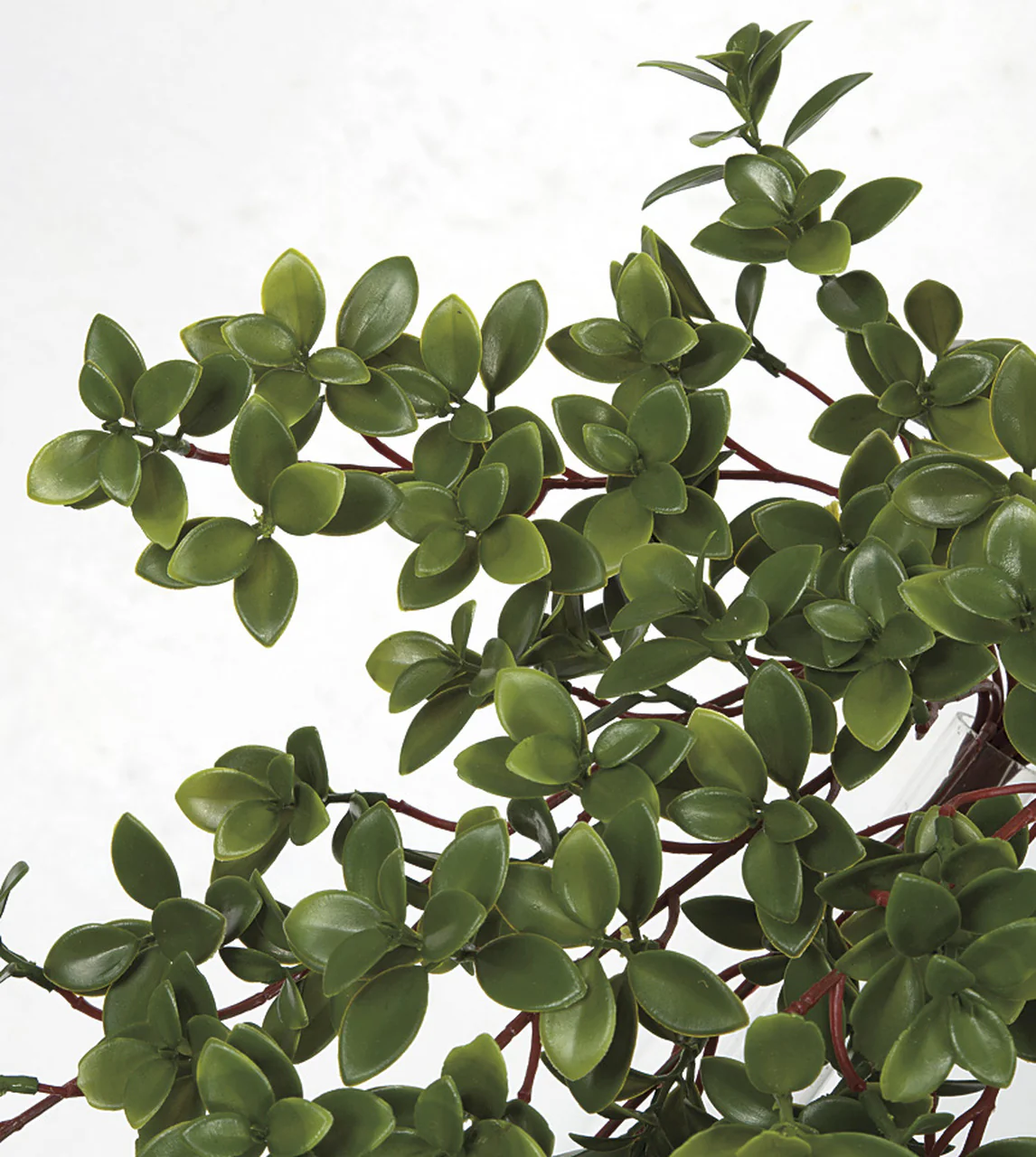 29.5" Outdoor UV-Resistant Artificial Hanging Nematanthus Leaf Plant -Green (Pack of 6) - Image 2