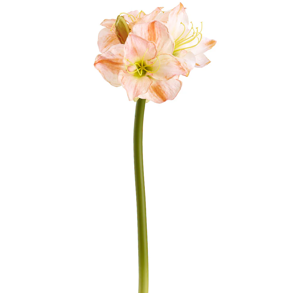 29" Amaryllis Silk Flower Stem -Cream/Coral (Pack of 6)