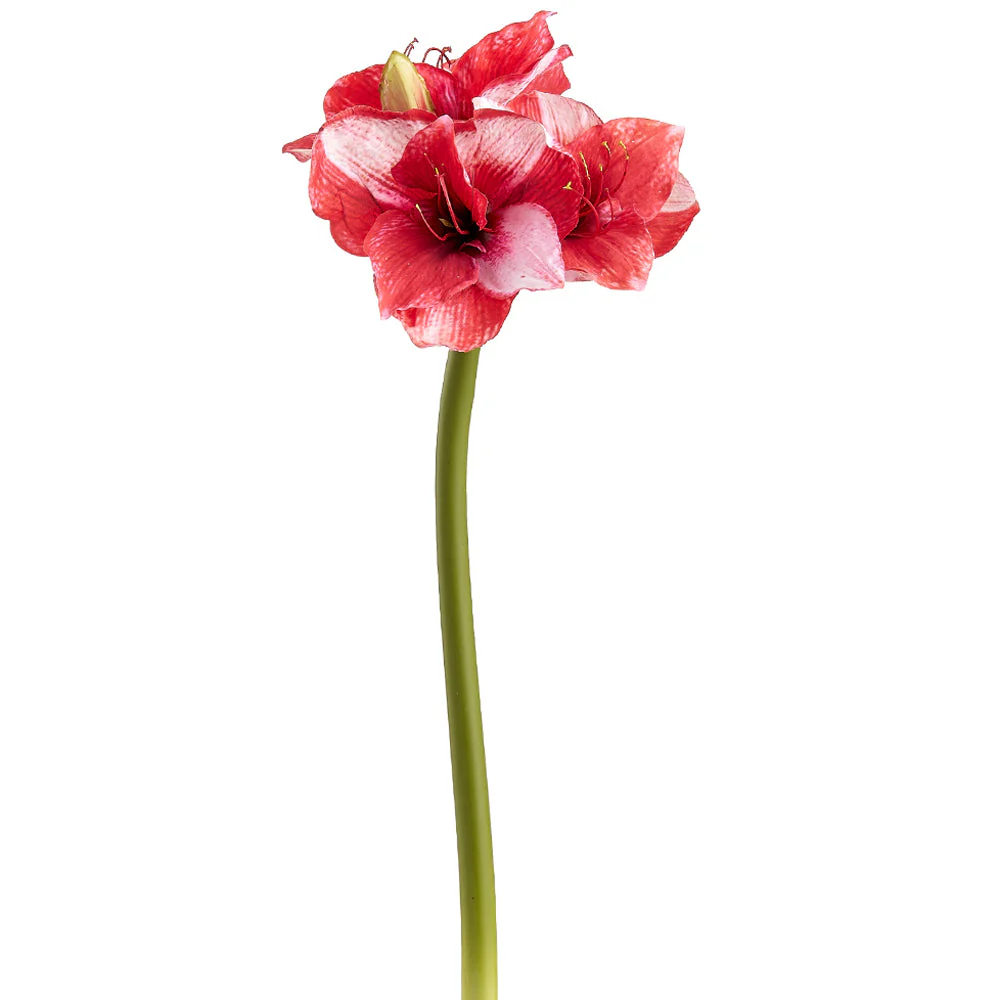 29" Amaryllis Silk Flower Stem -Red (Pack of 6)