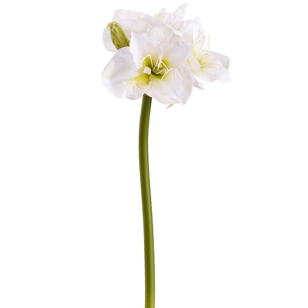 29" Amaryllis Silk Flower Stem -White/Green (Pack of 6)