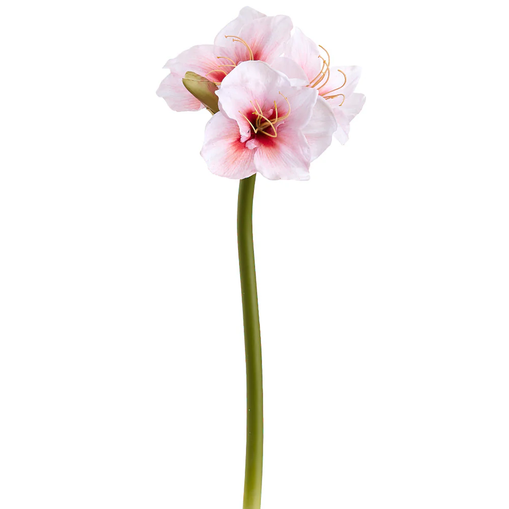 29" Amaryllis Silk Flower Stem -White/Red (Pack of 6)