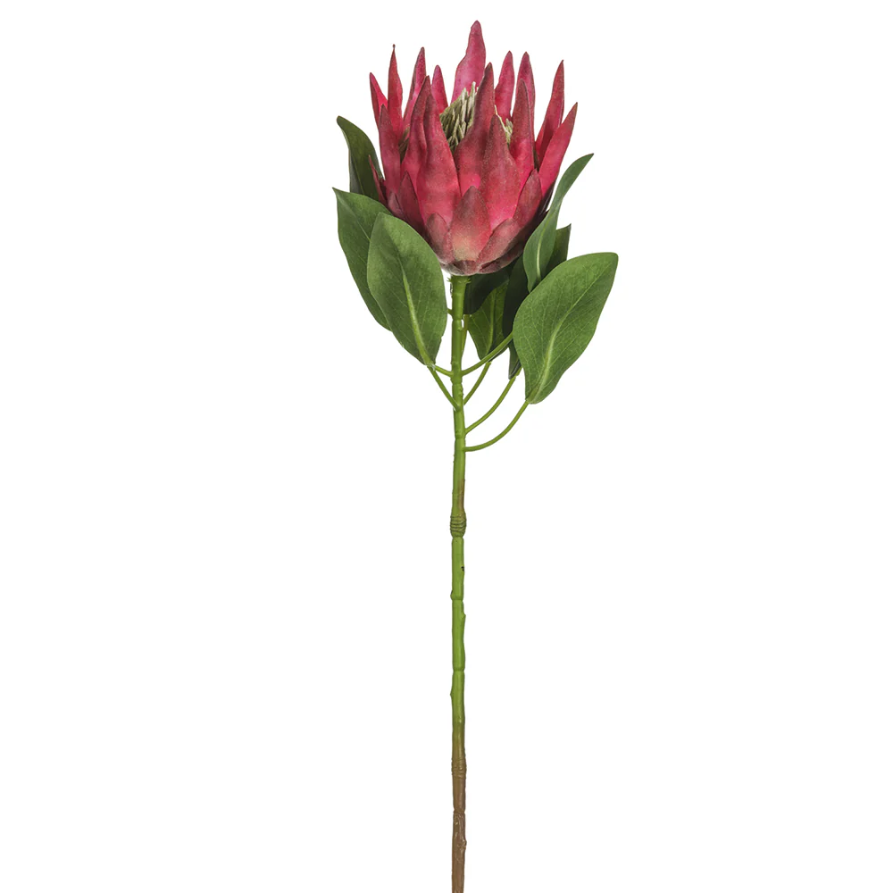 29" Artificial King Protea Flower Stem -Beauty (Pack of 12)