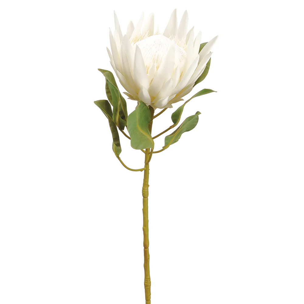 29" Artificial King Protea Flower Stem -Cream (Pack of 12)