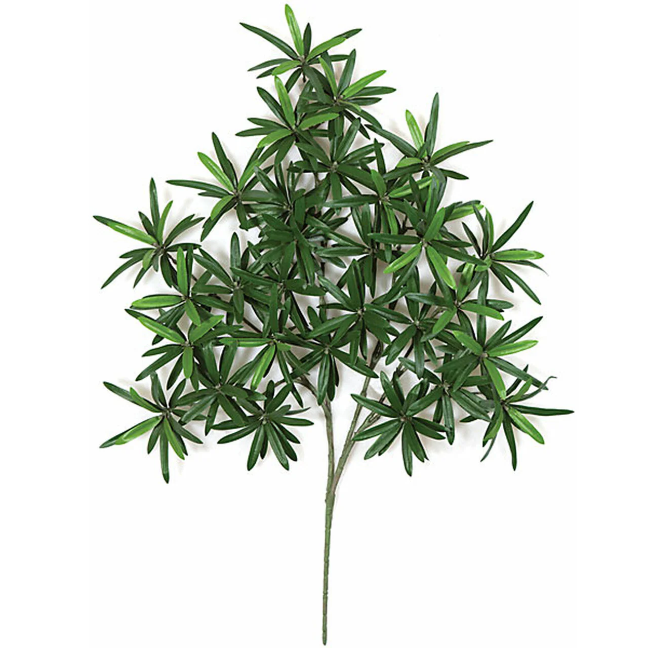 29" Artificial Podocarpus Branch Stem -Green (Pack of 6)